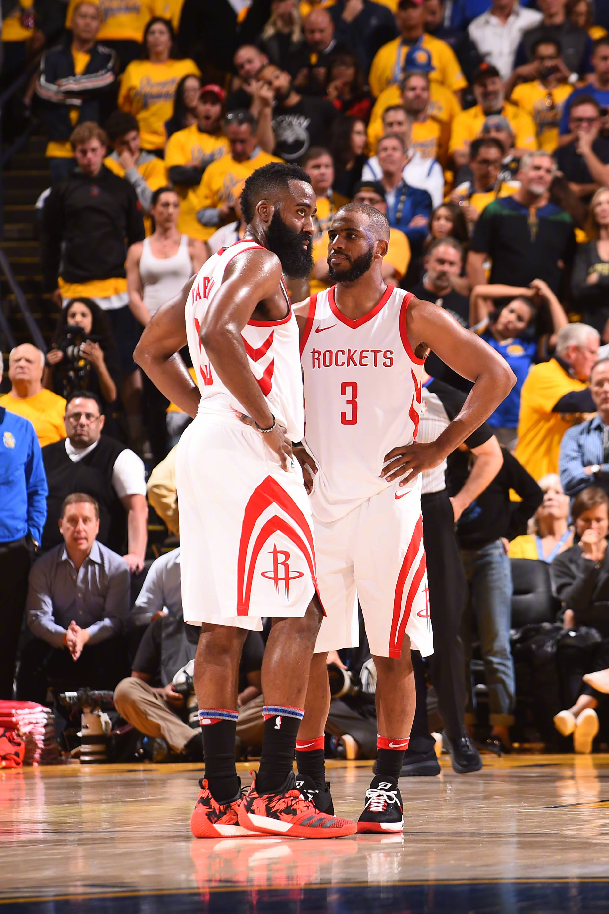 背后的含金 背后的含金